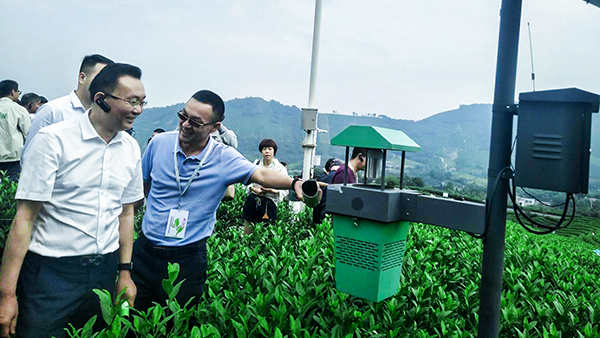 陳渝陽(yáng)董事長(zhǎng)正在向劉天金主任介紹聯(lián)網(wǎng)型風(fēng)吸式殺蟲燈