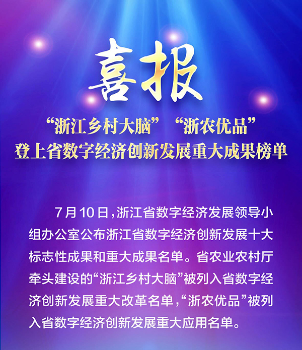 喜報(bào)！“浙江鄉(xiāng)村大腦”登上省數(shù)字經(jīng)濟(jì)創(chuàng)新發(fā)展重大成果榜單