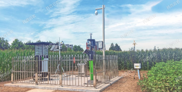 實時采集制種基地農(nóng)情、墑情、病情、蟲情數(shù)據(jù)信息